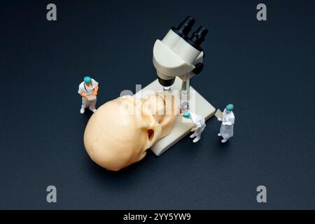 Figurines de scientifiques miniatures analysant un modèle de crâne à l'aide d'un microscope dans un cadre de laboratoire. Concept de recherche historique. Banque D'Images