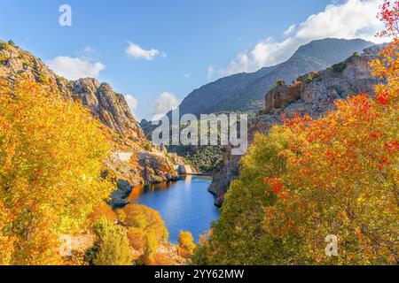 Paysage avec Lac de Calacuccia, île de Corse, France Banque D'Images