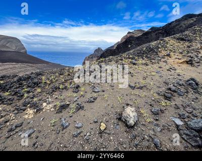 Capelo, Portugal. 25 septembre 2024. La zone d'excursion au volcan Vulcao dos Capelinhos. Une éruption volcanique en septembre 1957 a créé une nouvelle île volcanique, qui a fusionné avec l'île principale de Faial. La péninsule a été baptisée Ponta dos Capelinhos. Crédit : Jens Kalaene/dpa/Alamy Live News Banque D'Images