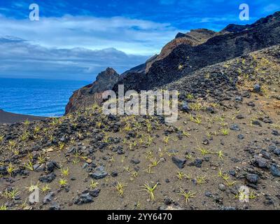 Capelo, Portugal. 25 septembre 2024. La zone d'excursion au volcan Vulcao dos Capelinhos. Une éruption volcanique en septembre 1957 a créé une nouvelle île volcanique, qui a fusionné avec l'île principale de Faial. La péninsule a été baptisée Ponta dos Capelinhos. Crédit : Jens Kalaene/dpa/Alamy Live News Banque D'Images