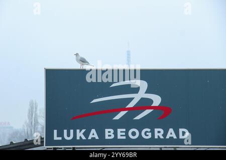 Une mouette se trouve sur un panneau Port ou Port de Belgrade, au bord du Danube. Traduction : '' Port de Belgrade''. Ciel brumeux en arrière-plan. Belgrade, Banque D'Images