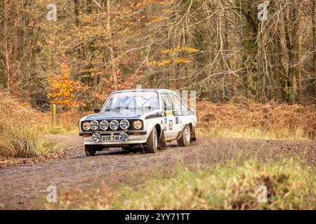 Octobre 2024 - Ford Escort Mk2 Rally car sur le rallye automobile Wyedean dans la forêt de Dean Banque D'Images