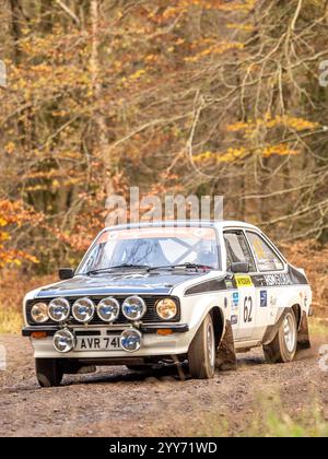 Octobre 2024 - Ford Escort Mk2 Rally car sur le rallye automobile Wyedean dans la forêt de Dean Banque D'Images