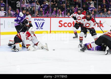 19 novembre 2024 : Gwyneth Philips (33), gardienne de la charge d’Ottawa, fait une économie lors d’un match de hockey PWHL entre la charge d’Ottawa et le Frost du Minnesota au Xcel Energy Center à Paul, Minnesota. Steven Garcia-CSM Banque D'Images