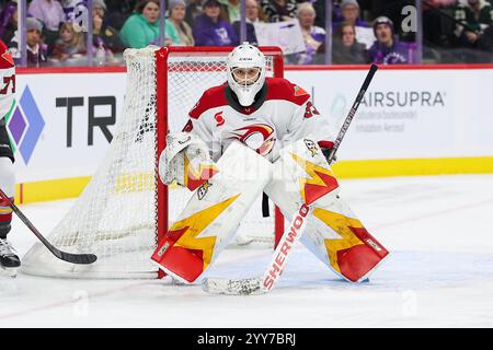 19 novembre 2024 : la gardienne de la charge d’Ottawa Gwyneth Philips (33) regarde pendant un match de hockey PWHL entre la charge d’Ottawa et le Frost du Minnesota au Xcel Energy Center à Paul, Minnesota. Steven Garcia-CSM Banque D'Images