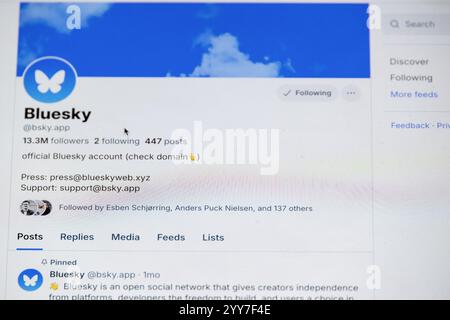 Danemark. 19 novembre 2024. Dans cette illustration photo, le logo Bluesky est affiché sur un ordinateur. (Crédit image : © Kristian Tuxen Ladegaard Berg/SOPA images via ZUMA Press Wire) USAGE ÉDITORIAL SEULEMENT! Non destiné à UN USAGE commercial ! Banque D'Images