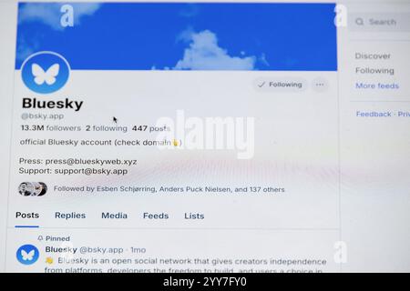 Danemark. 19 novembre 2024. Dans cette illustration photo, le logo Bluesky est affiché sur un ordinateur. (Photo de Kristian Tuxen Ladegaard Berg/SOPA images/SIPA USA) *** strictement à des fins éditoriales *** crédit : SIPA USA/Alamy Live News Banque D'Images
