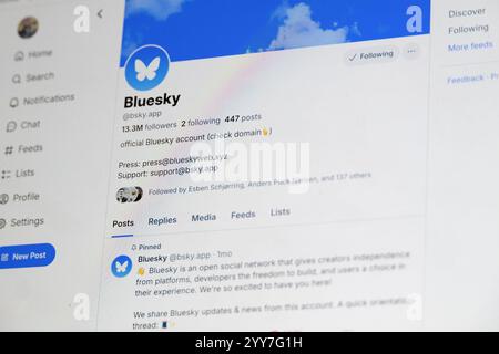 Danemark. 19 novembre 2024. Dans cette illustration photo, le logo Bluesky est affiché sur un ordinateur. (Photo de Kristian Tuxen Ladegaard Berg/SOPA images/SIPA USA) *** strictement à des fins éditoriales *** crédit : SIPA USA/Alamy Live News Banque D'Images