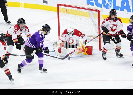 19 novembre 2024 : Gwyneth Philips (33), gardienne de la charge d’Ottawa, fait une économie lors d’un match de hockey PWHL entre la charge d’Ottawa et le Frost du Minnesota au Xcel Energy Center à Paul, Minnesota. Steven Garcia-CSM Banque D'Images