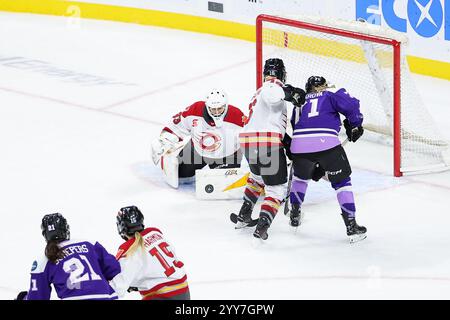 19 novembre 2024 : Gwyneth Philips (33), gardienne de la charge d’Ottawa, fait une économie lors d’un match de hockey PWHL entre la charge d’Ottawa et le Frost du Minnesota au Xcel Energy Center à Paul, Minnesota. Steven Garcia-CSM Banque D'Images