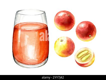 Verre avec jus de fruits Camu-Camu ensemble, baies de Myrciaria dubia. Super nourriture. Aquarelle illustration dessinée à la main, isolé sur fond blanc Banque D'Images