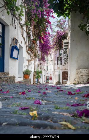 Rosa Bougainville in einer Gasse mit weissen Fassaden in der Altstadt von Cadaqués, Katalonien, Espagne Banque D'Images