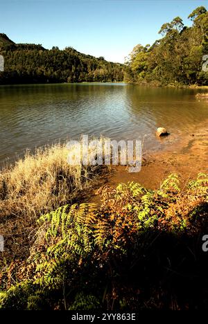 Lac Pengilon, un lac d'eau douce de montagne sur le plateau de Dieng, administrativement situé à Dieng Wetan, Kejajar, Wonosobo, Java central, Indonésie. Banque D'Images