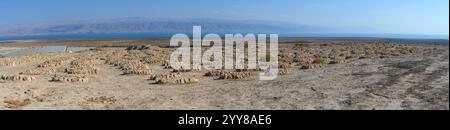 Ancien cimetière sur le site archéologique de Qumran sur la rive de la mer morte, en Cisjordanie, Israël Qumran était habité par une secte juive de l'époque Banque D'Images