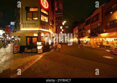 Tokyo, Japon - 26 novembre 2024 : quartier commerçant d'Asakusa la nuit Banque D'Images