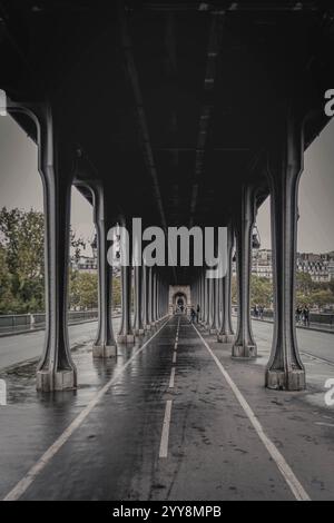 Explorez l'ambiance parisienne depuis Pont de Bir-Hakeim, où chaque coin de rue raconte une histoire à travers son architecture intemporelle et sa vie urbaine dynamique Banque D'Images