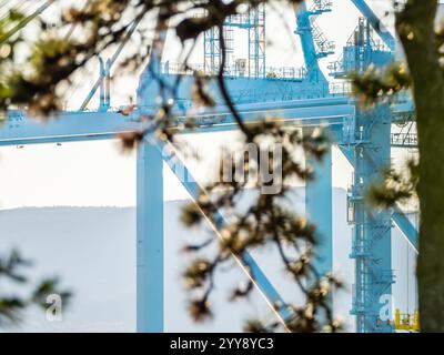 Grues passerelle dans le port de Rijeka Banque D'Images