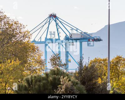 Grues passerelle dans le port de Rijeka Banque D'Images