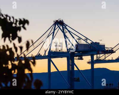 Grues passerelle dans le port de Rijeka Banque D'Images