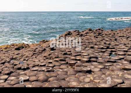 Un rivage rocheux avec une grande masse d'eau en arrière-plan. Les rochers sont dispersés sur le rivage, créant un paysage unique et intéressant. Banque D'Images