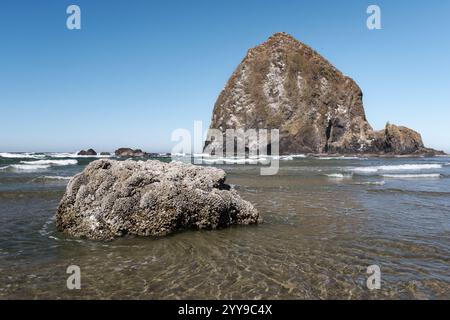 Haystack Rock et autres formations à Cannon Beach, Oregon Banque D'Images