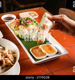 Rouleaux de printemps vietnamiens frais emballés avec des nouilles vermicelles, des légumes croquants et des crevettes, servis avec une sauc savoureux de trempage aux arachides Banque D'Images