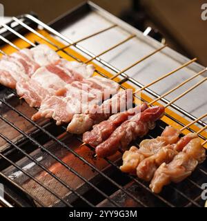 Brochettes de viande grillée épicées servies sur une assiette blanche avec des épices, de l'ail frais, de la soupe et des piments verts, parfaites pour un plat asiatique savoureux Banque D'Images