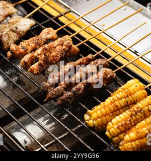 Brochettes de viande grillée épicées servies sur une assiette blanche avec des épices, de l'ail frais, de la soupe et des piments verts, parfaites pour un plat asiatique savoureux Banque D'Images