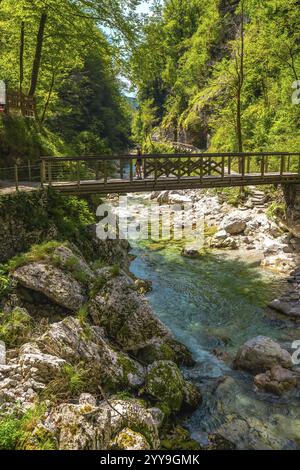 Touriste profitant d'une vue imprenable sur les gorges de tolmin en slovénie, marchant sur un pont en bois sur une rivière claire et turquoise entourée d'un vert luxuriant pour Banque D'Images