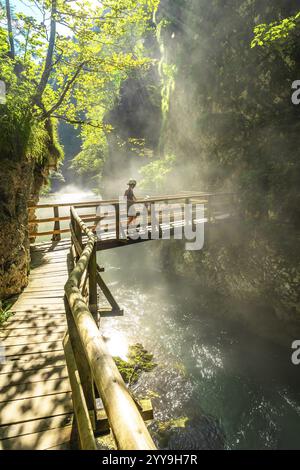 Touristes appréciant la journée d'été à la gorge de vintgar près de Bled, marchant sur un sentier en bois au-dessus de l'eau turquoise de la rivière radovna, entouré de vert luxuriant fo Banque D'Images