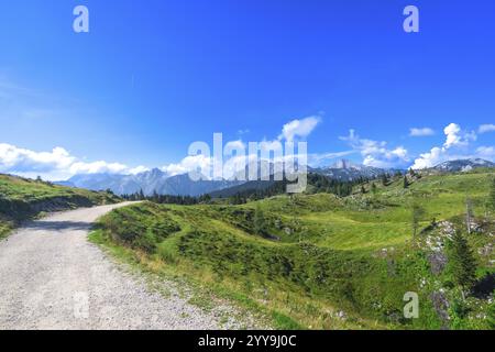 Pittoresque route de gravier serpente à travers des prairies verdoyantes dans la logarska dolina, encadrée par les sommets majestueux des alpes de kamnik savinja sous un ciel bleu clair Banque D'Images