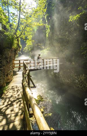 Touriste profitant d'une vue imprenable sur l'eau turquoise qui coule à travers l'étroit canyon dans la gorge de vintgar près de Bled, slovénie Banque D'Images