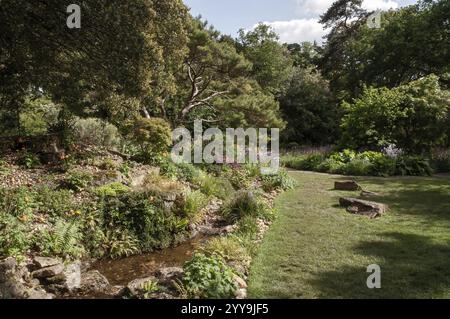 Vue panoramique sur un ruisseau paisible serpentant à travers un jardin botanique animé, créant une oasis de tranquillité Banque D'Images