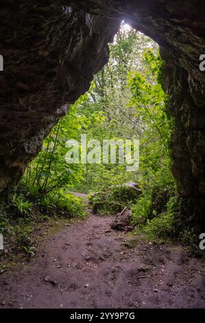 Regardant hors de la grotte tot il a laissé de la grotte Cathole-Rock, Gower, pays de Galles, Royaume-Uni Banque D'Images