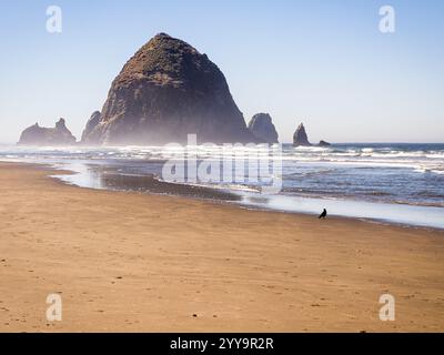 Haystack Rock se trouve dans les vagues à Cannon Beach, Oregon Banque D'Images