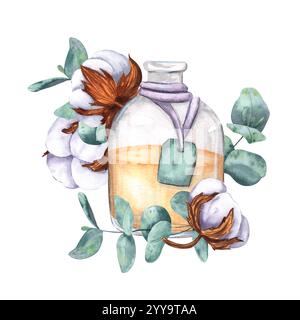 Bolls de coton séchés et branches d'eucalyptus, bouteille en verre avec de l'huile, extrait. Composition d'aquarelle isolée sur fond. Pour la conception, logos, décor, m Banque D'Images