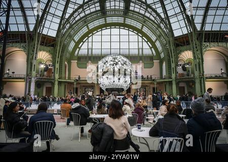 Paris, France. 20 décembre 2024. Les amateurs de patinage patinent sur une immense patinoire au Grand Palais à Paris, le 20 décembre 2024. Photo de Firas Abdullah/ABACAPRESS. COM Credit : Abaca Press/Alamy Live News Banque D'Images