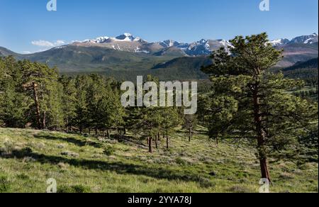 14 259 pieds longs Peak, est la plus haute montagne dans le parc national des montagnes Rocheuses. Début juin vertes prairies, avec des restes de neige sur les hauts sommets. Banque D'Images