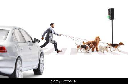 Homme d'affaires traversant une rue avec de nombreux chiens sur une laisse isolée sur fond blanc Banque D'Images