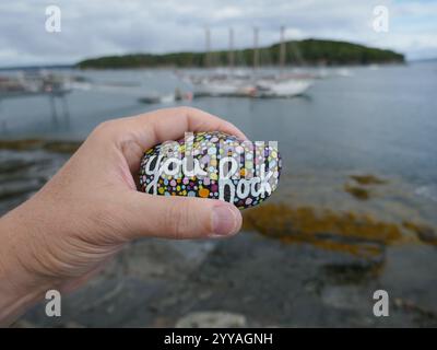 La gentillesse rock avec vous message rock tenu devant un paysage marin défocalisé Banque D'Images