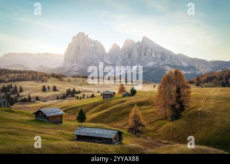 Alpe di Siusi dans les Dolomites italiens Banque D'Images