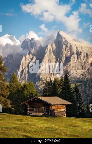 Alpe di Siusi dans les Dolomites italiens Banque D'Images