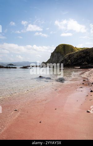 Pink Beach sur Padar Island Indonésie Banque D'Images