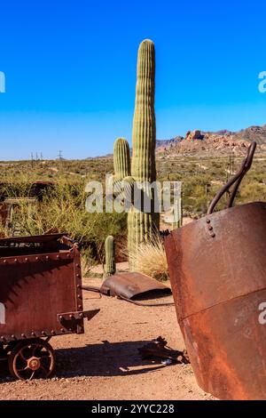 Un vieux camion rouillé est garé à côté d'un grand cactus. La scène est désolée et abandonnée, avec le cactus debout haut au milieu du désert Banque D'Images