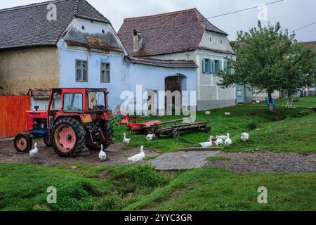 Une ferme à Viscri, Transylvanie, Roumanie Banque D'Images