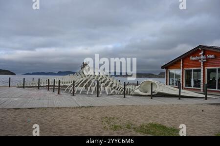 TERIBERKA, RÉGION DE MOURMANSK, RUSSIE - 19 JUIN 2023 : squelette factice d'une baleine sur la rive de la mer de Barents dans le village de Teriberka, Mourmansk Banque D'Images