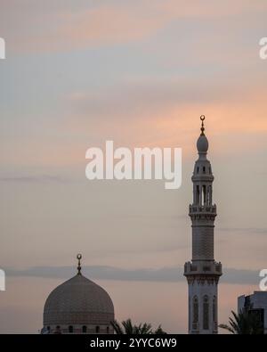 Mosquée, Dubai, Émirats Arabes Unis Banque D'Images