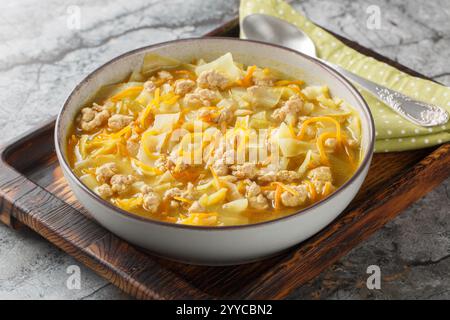 Soupe de roulés aux œufs d'hiver diète avec de la viande hachée, des légumes et des épices gros plan dans un bol sur la table. Horizontal Banque D'Images