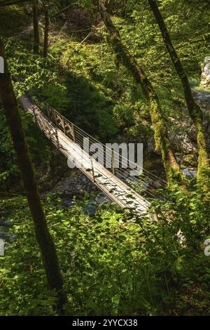 Vue panoramique sur un pont suspendu en bois traversant les gorges de tolmin en slovénie, entouré d'une forêt verdoyante Banque D'Images