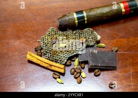 Pyramide olfactive chaude et épicée avec tabac, vanille, chocolat, cannelle, clous de girofle, cardamome, miel, anis étoilé, genévrier et café Banque D'Images